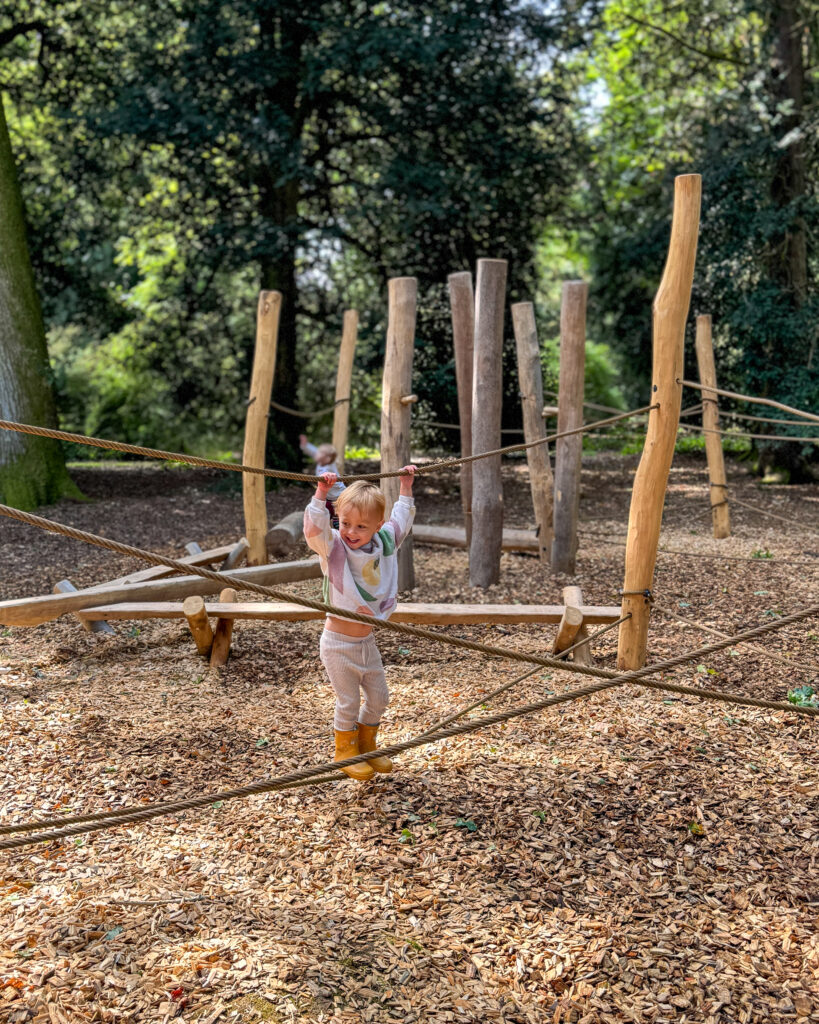 westonbirt arboretum