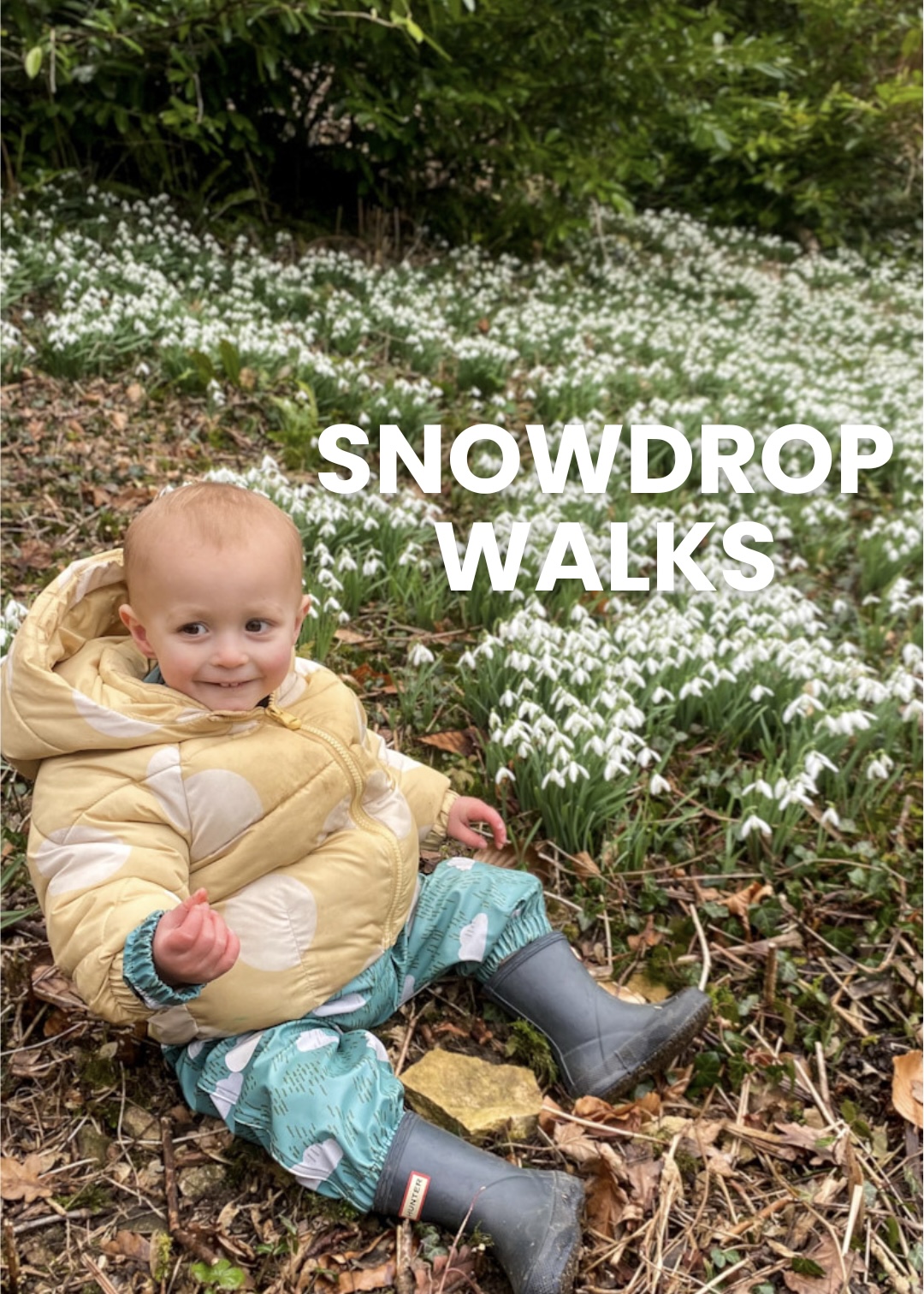 Snowdrop Walks Near Bristol Bristol Family Blog