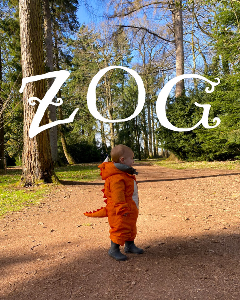 Zog Activity Trail at Westonbirt Arboretum