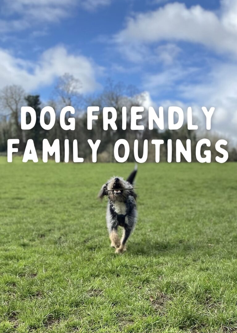Dog Friendly Family Outings in Bristol (and surrounding areas!)