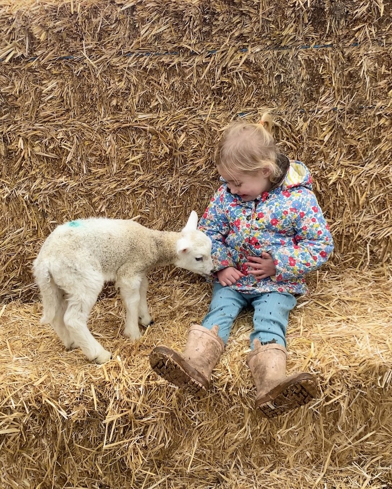 Lackham Lambing Weekends, Wiltshire – Family Day Out Review!