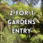 2-for-1 gardens
