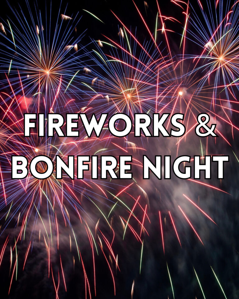 Fireworks Displays & Bonfire Night 2024