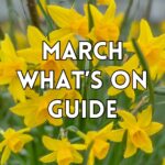 whats on march bristol bath families