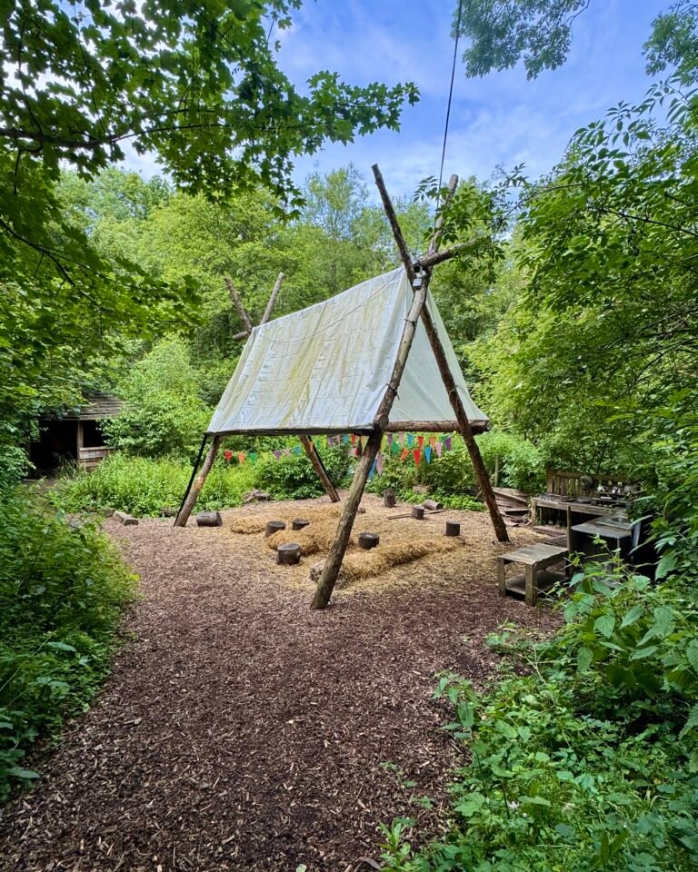 forest school party ideas